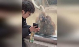 网友爆料猴哥事件真相视频,网友爆料真相视频曝光